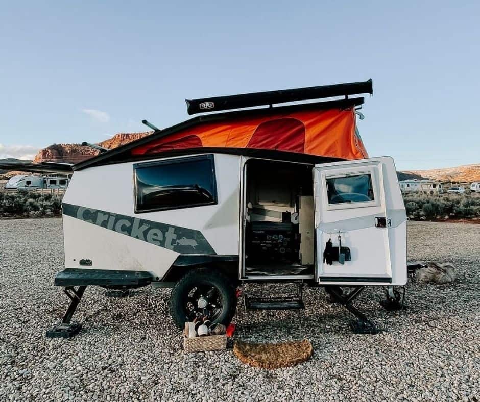 2025 Taxa Outdoors Taxa Cricket